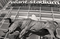  Bull statue on the east side of Reliant Stadium