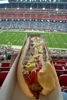  Chili cheese dog with ketchup and mustard