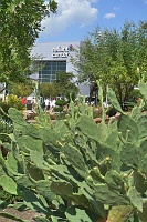  Near sculpture garden and Reliant Center, Reliant Park