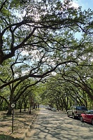  Near Entrance 1 at Rice University
