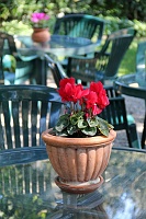  Patio area