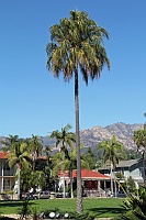  Downtown