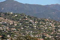  Downtown