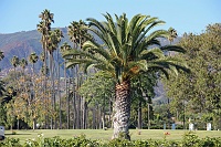  Santa Barbara Mission