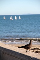  Santa Barbara Harbor