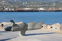  Santa Barbara Harbor
