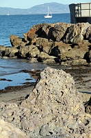  Santa Barbara Harbor