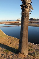  Stearn's Wharf