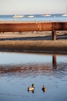  Stearn's Wharf