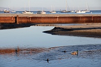  Stearn's Wharf