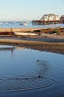  Stearn's Wharf