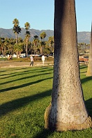  Stearn's Wharf