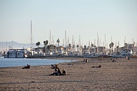  Stearn's Wharf