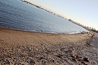  Stearn's Wharf