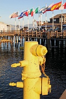  Stearn's Wharf