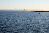  Stearn's Wharf