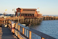  Stearn's Wharf