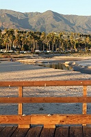  Stearn's Wharf