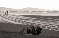  Stearn's Wharf