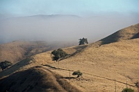 Wine Country