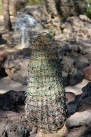 Ethel M Cactus Garden