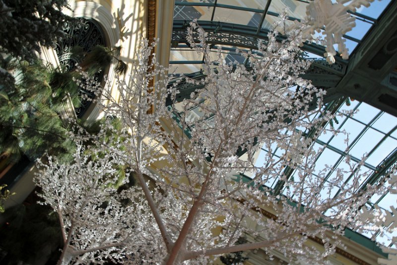 IMG_0858