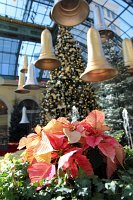  Bellagio Conservatory and Botanical Gardens