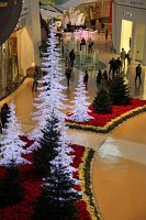  Crystals at City Center