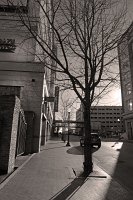  Downtown Memphis