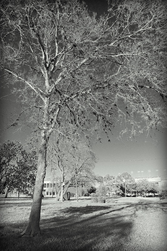 P1000856