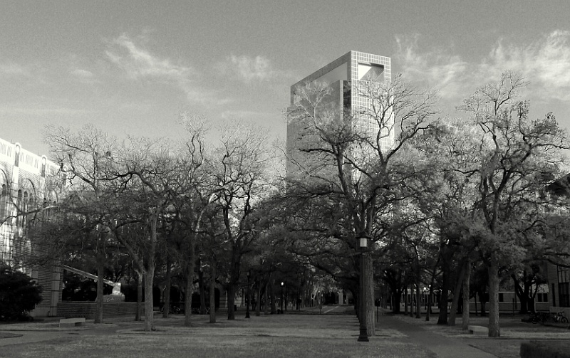 P1000959