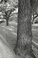  University near Rice Stadium