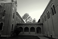  Herzstein Hall