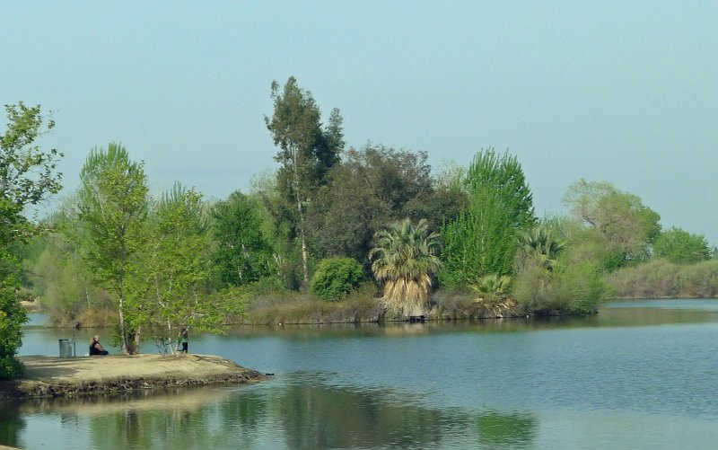 P1010240