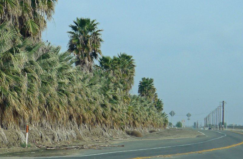 P1010268