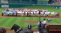  Budweiser clydesdales