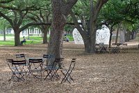  Rice University