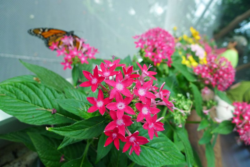 P1020237