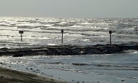  Beach along the Seawall