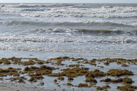  Beach along the Seawall