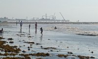  Beach along the Seawall, Pleasure Pier in the background