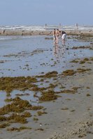  Beach along the Seawall