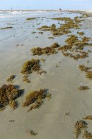  Beach along the Seawall