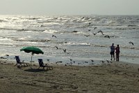  Beach along the Seawall