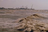  The Gulf, Pleasure Pier in the background