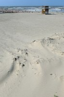  Beach along the Seawall