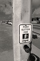  Traffic light post, along Seawall Blvd