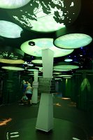  Insect exhibit, Moody Gardens Rain Forest Pyramid