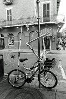  Vieux Carré