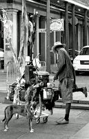  Vieux Carré near Jackson Square